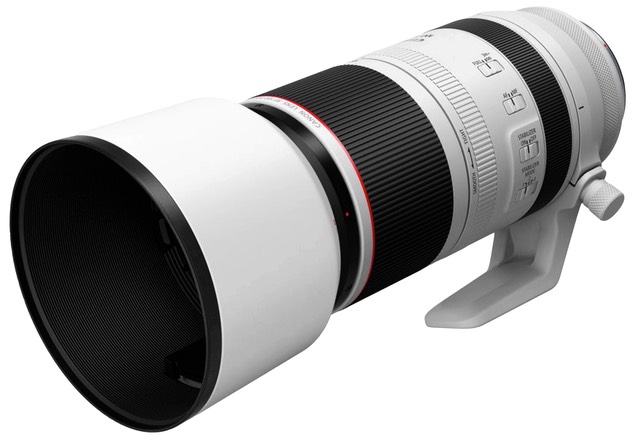 Canon R8 + RF 100-500mm