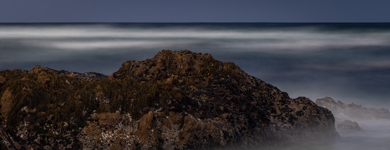 bythom US CA Monterey A7III 20013crop