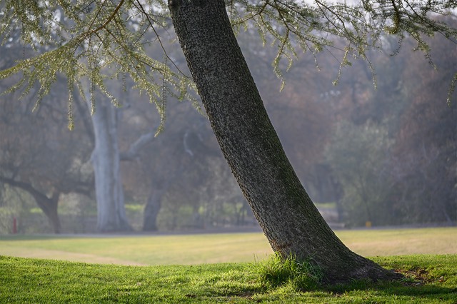 bythom US CA Roseville 1885 Z6II.jpg