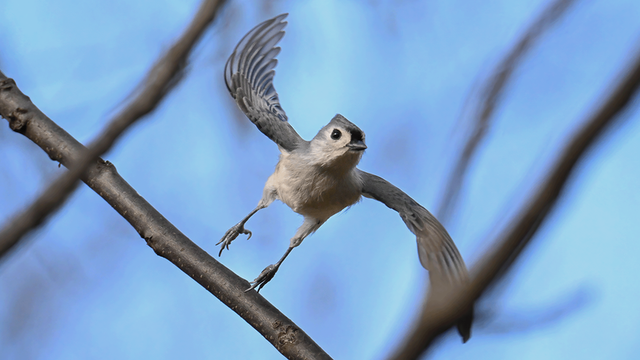 bythom US PA LittleLehigh Z50II 12706