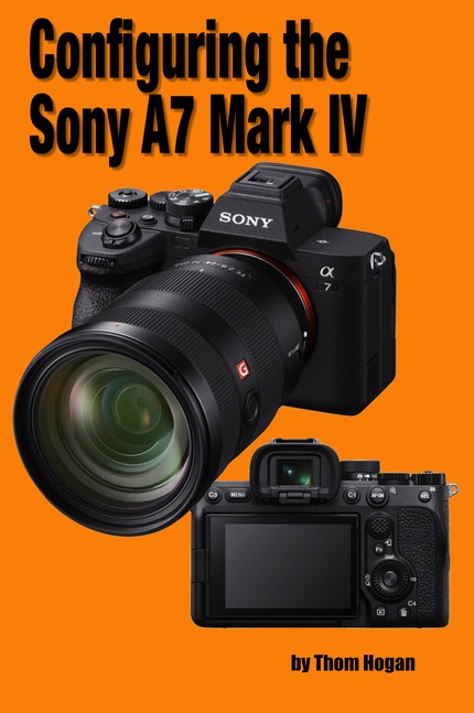 Sony a7 IV Mirrorless Camera with 24-70mm f/2.8 Lens and Raw