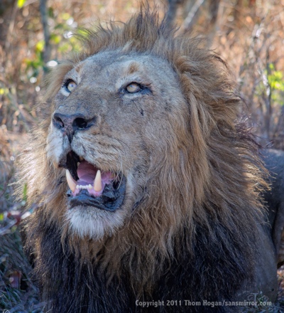 INT_AF_SouthAfrica_9-2011_EP3_19236