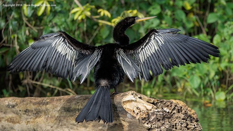 INT COSTA-RICA 12-2014 EM1 15464.jpg
