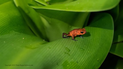 INT COSTA-RICA 12-2014 EM1 15735.jpg