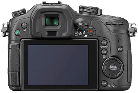 pangh3back
